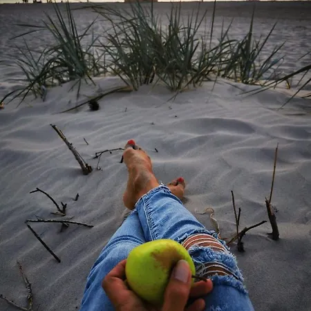 Stilove Wydmy בית נופש סאשינו