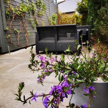 Stilove Wydmy בית נופש