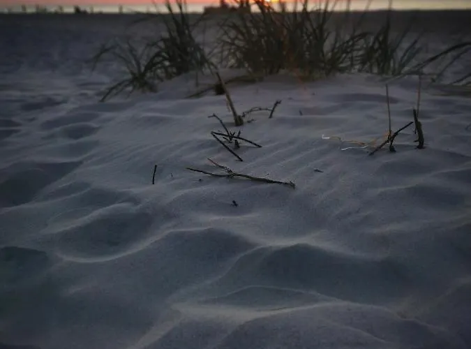 Stilove Wydmy 度假居