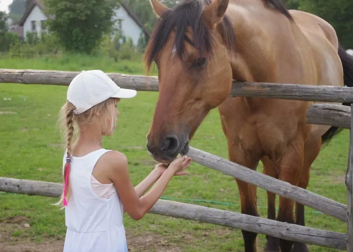 Stilove Wydmy 度假居